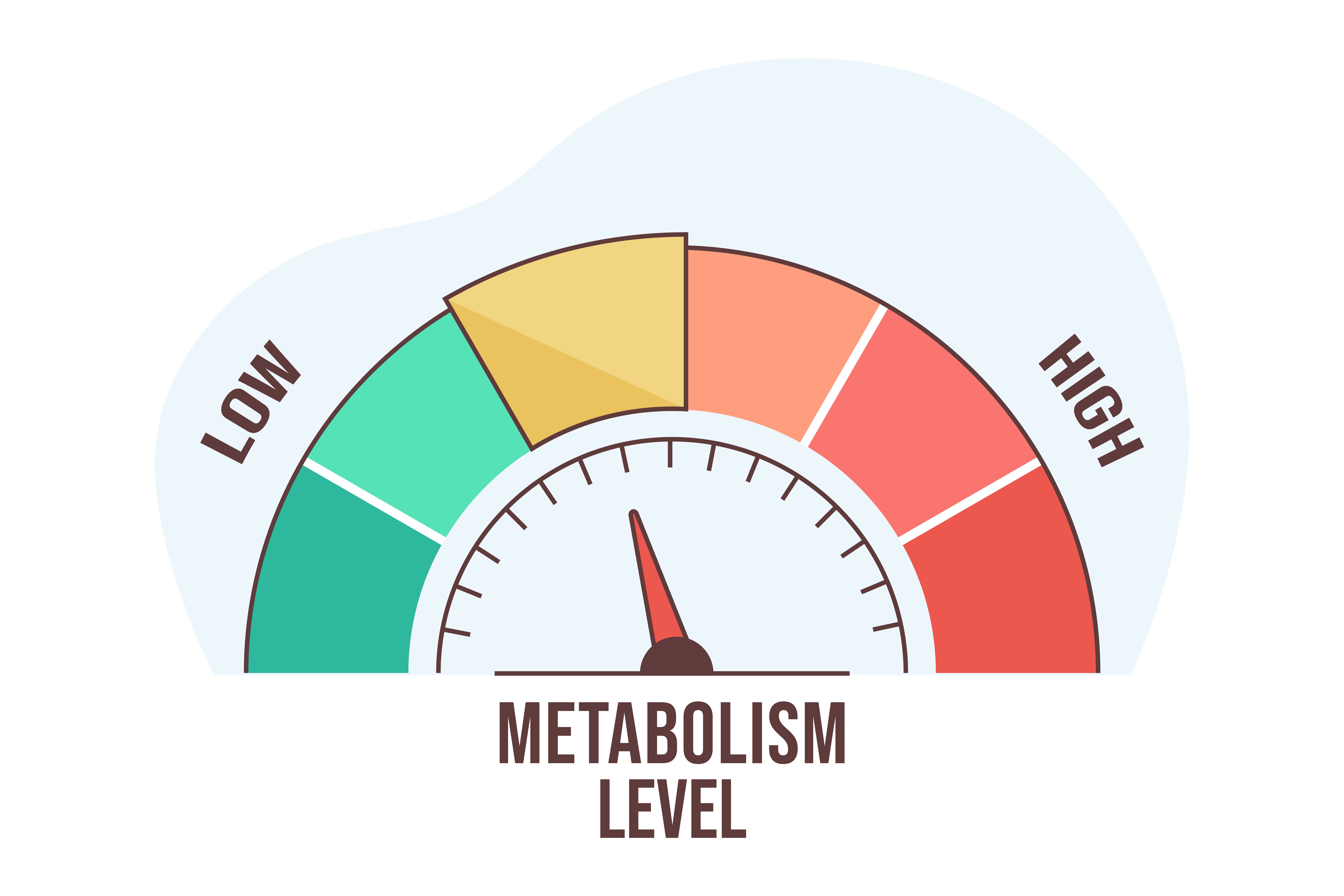 20_BLOG METABOLISMO [IMAGEM]