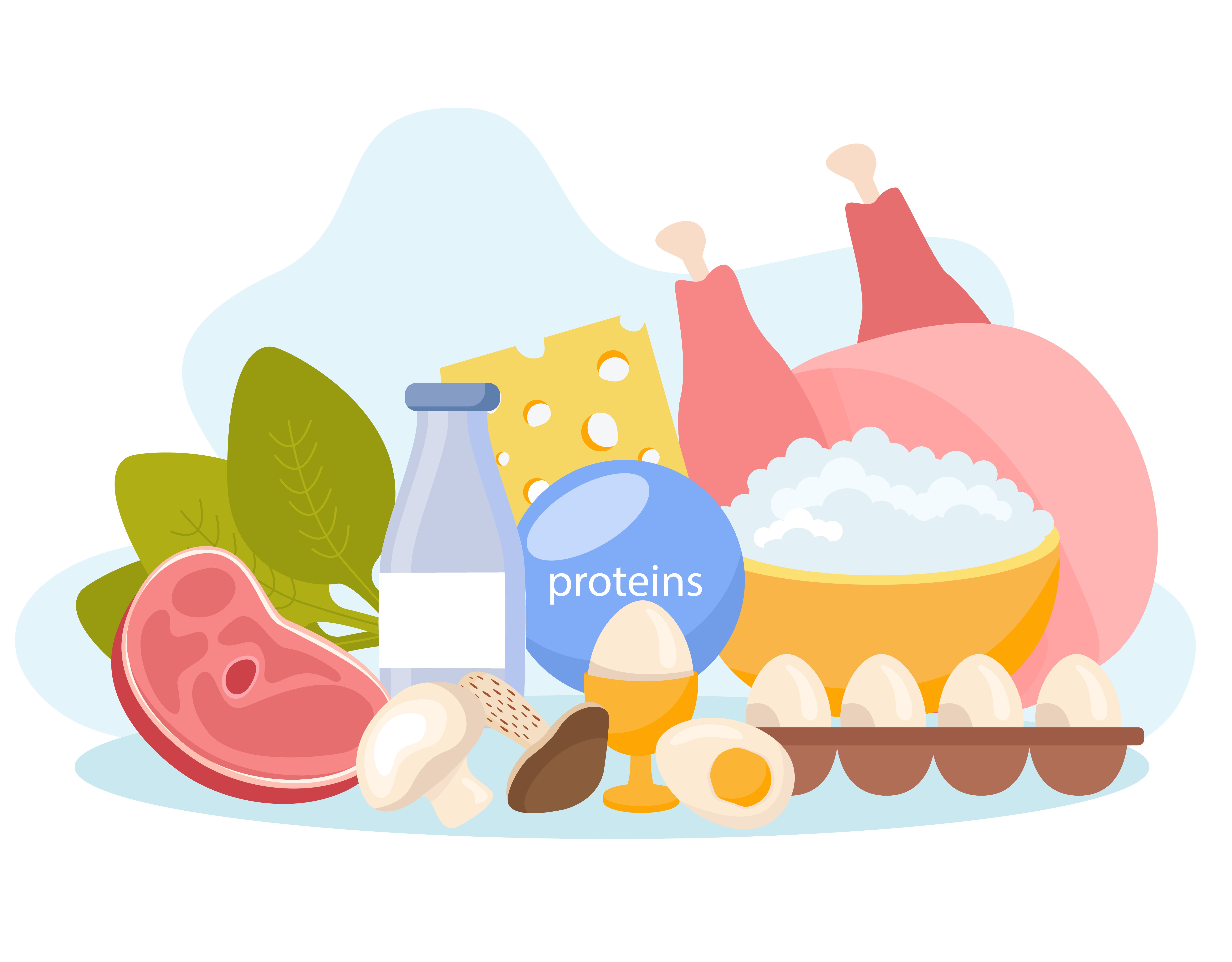 desenho de alimentos proteicos